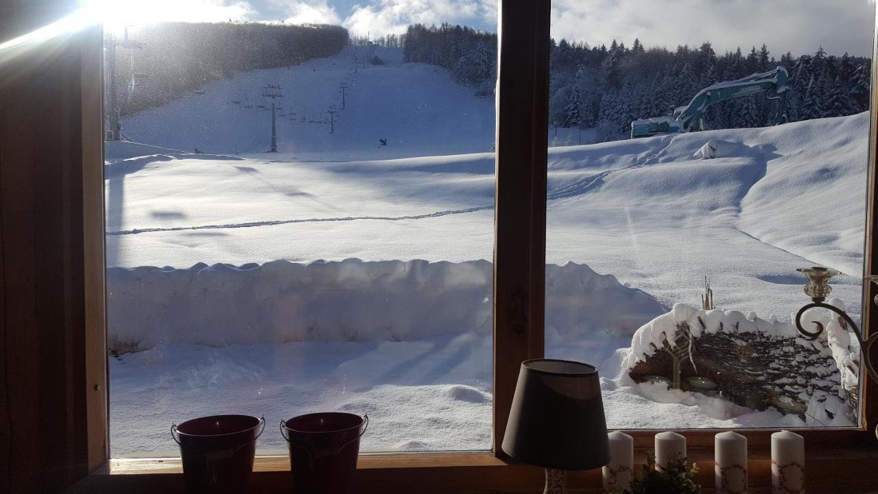 Pensjonat Laworta Ski Устшики Долне Екстериор снимка
