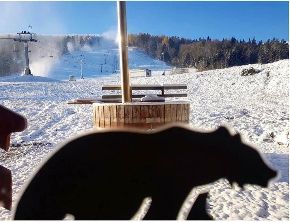 Pensjonat Laworta Ski Устшики Долне Екстериор снимка